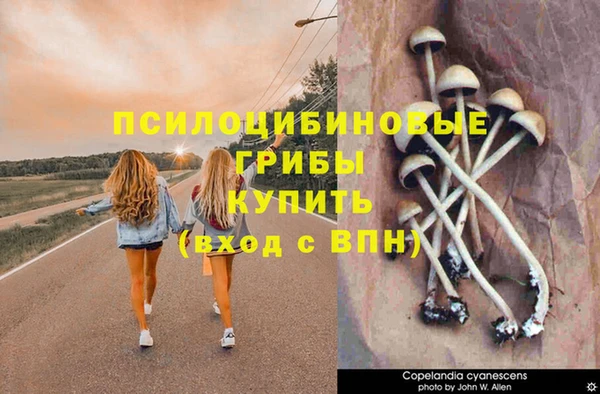альфа пвп Гусиноозёрск