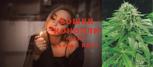 альфа пвп Гусиноозёрск