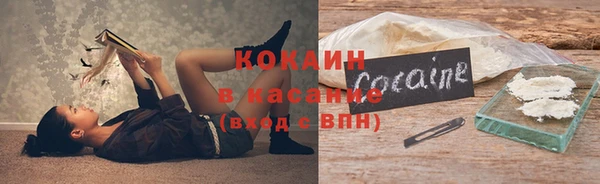 сатива Гусь-Хрустальный