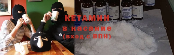 сатива Гусь-Хрустальный