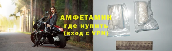 сатива Гусь-Хрустальный