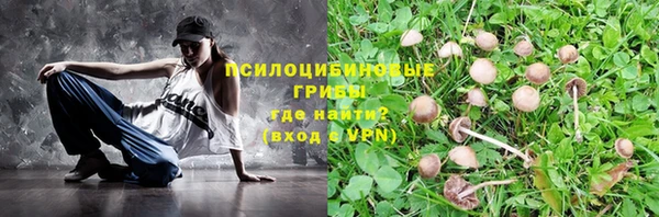альфа пвп Гусиноозёрск