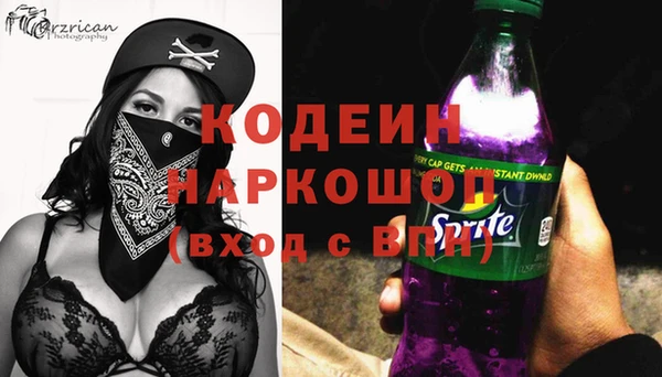 сатива Гусь-Хрустальный