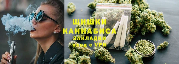 сатива Гусь-Хрустальный